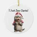 Search for funny cat ornaments Animal lover