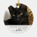 Search for cat memorial gifts Forever in my heart