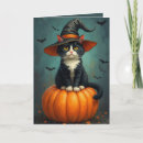 Search for witch halloween cards Cat