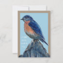 Search for bluebird cards Bird lover