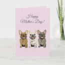Search for bulldog mothers day cards Dogs