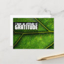 Search for positive affirmation postcards Motivational