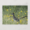 Search for portrait postcards Woodland
