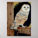 Search for barn owl posters Watercolor