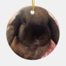 Search for lop rabbit ornaments Bunnies