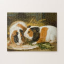Search for guinea pig puzzles Rabbit