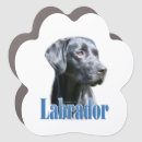 Search for black lab magnets Labrador