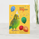 Search for bird pun cards Birds
