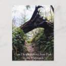 Search for washington state postcards Forest