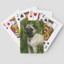 Search for pug playing cards Standing