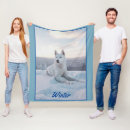 Search for white siberian husky Pet