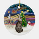 Search for bengal cat ornaments Cats