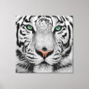 Search for tiger eyes posters Fierce