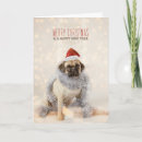 Search for pug christmas cards Snow