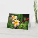 Search for maui cards Tropical