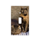 Search for italy light switch covers Europe