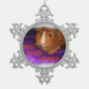 Search for guinea pig ornaments Rodent