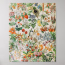 Search for adolphe millot posters Biology