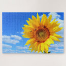 Search for sunflower puzzles Bees