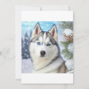 Search for siberian husky christmas cards Sled dog