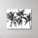 Search for black and white tree canvas prints Palm