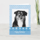Search for australian shepherd cards Blue