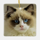 Search for ragdoll cat ornaments Kitty