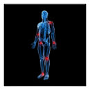 Search for xray posters Blue