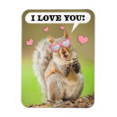 Search for funny squirrel valentines day cards Humor