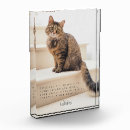 Search for in loving memory photo Pet loss