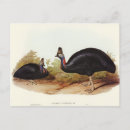 Search for vintage australia postcards Wildlife