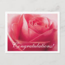 Search for baby congratulations postcards Rose