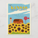 Search for kansas postcards Sunflower