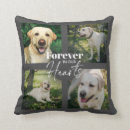 Search for cat loss gifts Dog lover