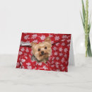 Search for yorkie christmas cards Yorkshire terrier