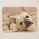 Search for french bulldog blankets Cute