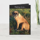 Search for funny singing dog cards Silly
