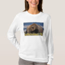 Search for grizzly bear tshirts Usa