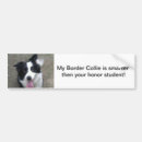 Search for border collie gifts Bumper