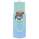 Search for dog usb flash drives Corgi