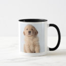 Search for golden retriever mugs Studio shot