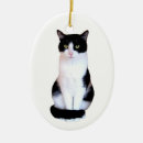 Search for tuxedo cat ornaments Kitten