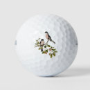 Search for vintage golf balls Nature