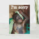 Search for apology love cards Forgiveness