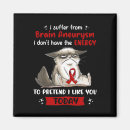 Search for fun magnets Cat