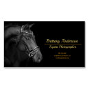 Search for equine photography business cards Stables