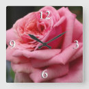 Search for rose clocks Blossom