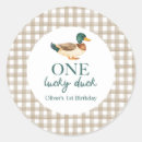 Search for duck stickers Gingham