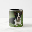 Search for boston terrier mugs cute