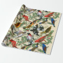 Search for cardinal wrapping paper Nature